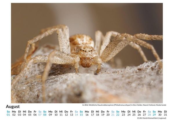 Produktbild: Flora und Fauna der Niederlande