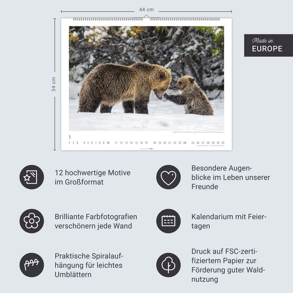 Produktbild: B&auml;ren Kalender 2027