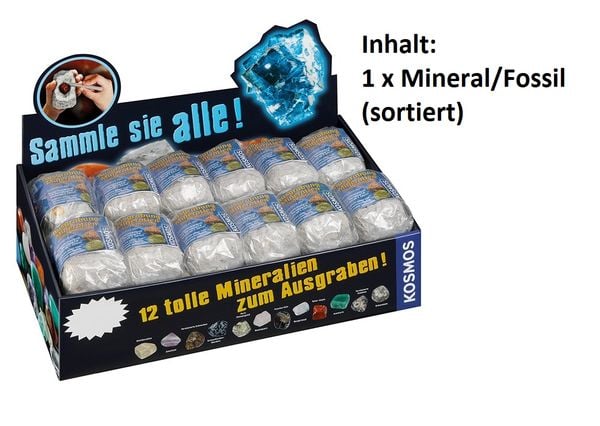 Produktbild: Mineralien & Fossilien (24 Ex. im Display)