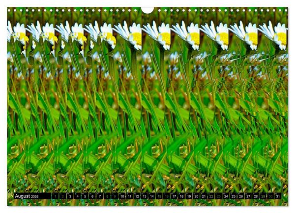 Produktbild: Magische Bilder - Stereogramme und 3D-Illusionen (Wandkalender 2026 DIN A3 quer), CALVENDO Monatskalender