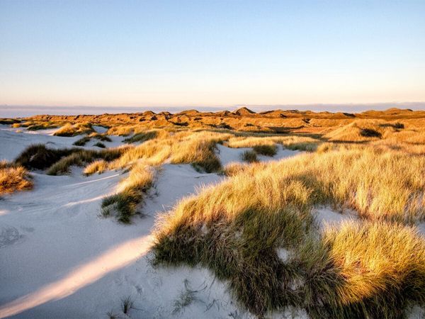 Produktbild: CALVENDO Puzzle Amrum: Natur und Freiheit | 1000 Teile Lege-Gr&ouml;&szlig;e 64x48cm Foto-Puzzle f&uuml;r gl&uuml;ckliche Stunden