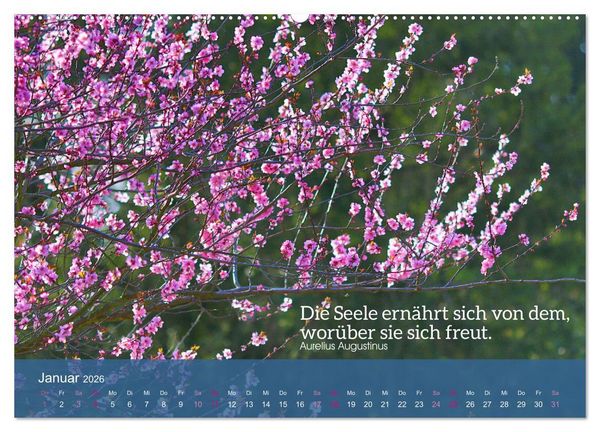 Produktbild: FASZINATION MANDELBL&Uuml;TE (hochwertiger Premium Wandkalender 2026 DIN A2 quer), Kunstdruck in Hochglanz