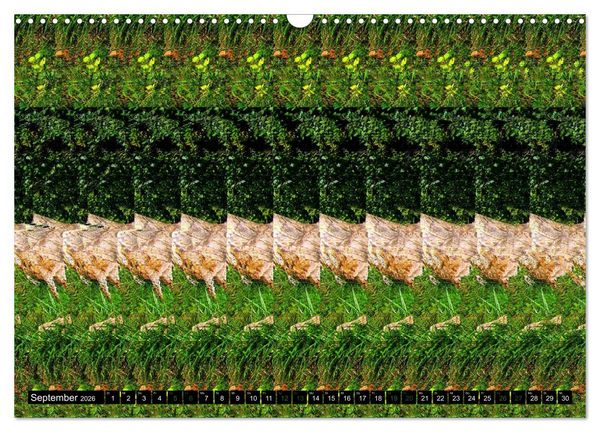 Produktbild: Magische Bilder - 3D Stereogramme (Wandkalender 2026 DIN A3 quer), CALVENDO Monatskalender