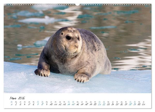 Produktbild: 78&deg; Nord - Arktische Momente in Svalbard (hochwertiger Premium Wandkalender 2026 DIN A2 quer), Kunstdruck in Hochglanz