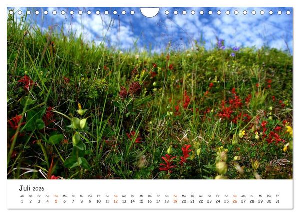 Produktbild: Nordnorwegen im Licht (Wandkalender 2026 DIN A4 quer), CALVENDO Monatskalender
