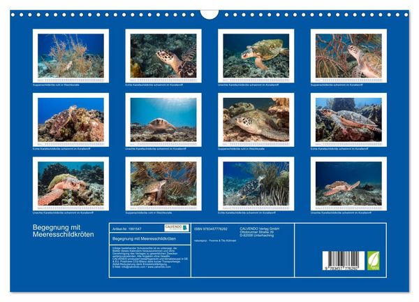 Produktbild: Begegnung mit Meeresschildkr&ouml;ten (Wandkalender 2026 DIN A3 quer), CALVENDO Monatskalender