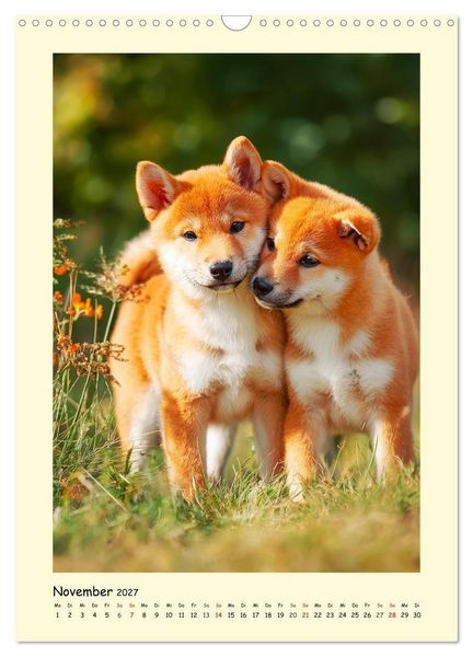 Produktbild: Shiba Inu Momente. Japans elegante Seelenhunde (Wandkalender 2027 DIN A3 hoch), CALVENDO Monatskalender