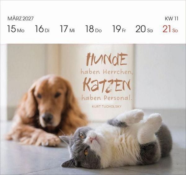 Produktbild: Katzen 2027