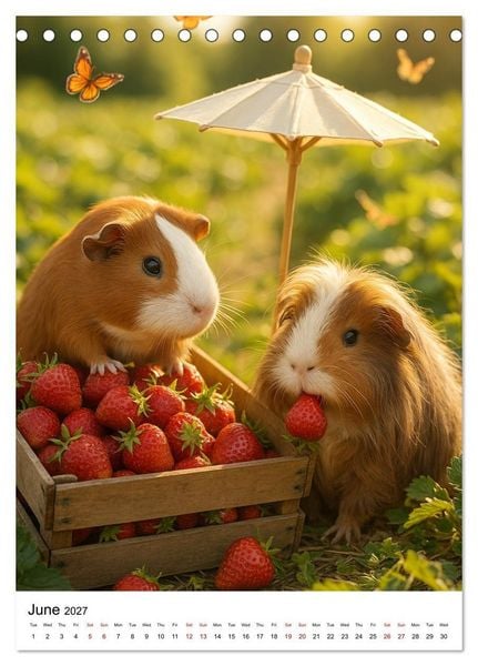 Produktbild: Guinea Pigs Cozy Moments (Desk Calendar 2027 DIN A5 portrait), CALVENDO 12 Month DeskCalendar