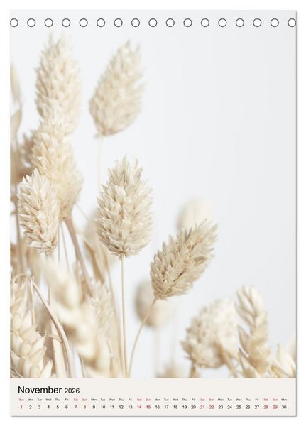 Produktbild: Dried Flowers (Desk Calendar 2026 DIN A5 portrait), CALVENDO 12 Month DeskCalendar