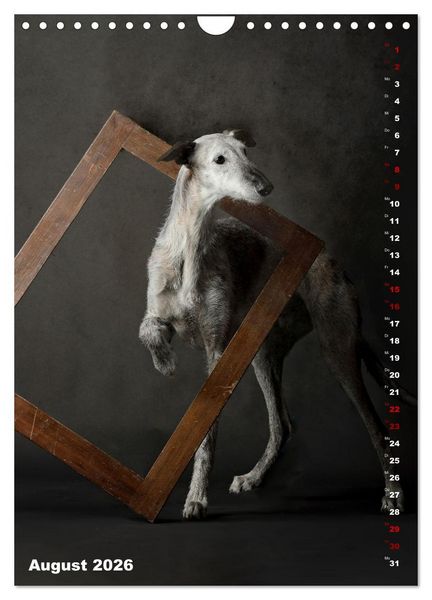 Produktbild: dogmuse deluxe (Wandkalender 2026 DIN A4 hoch), CALVENDO Monatskalender