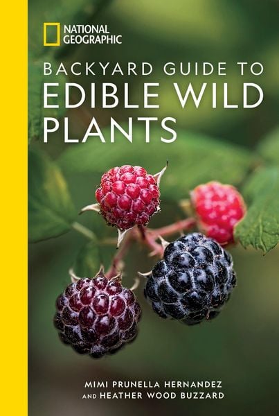 Produktbild: National Geographic Backyard Guide to Edible Wild Plants