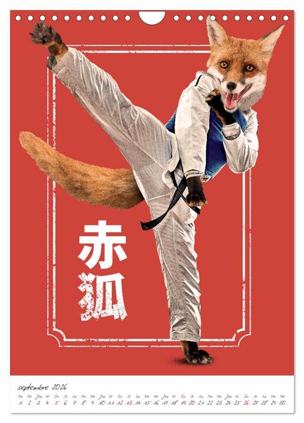 Produktbild: Combattant animal (Calendrier mural 2026 DIN A4 horizontal), CALVENDO calendrier mensuel