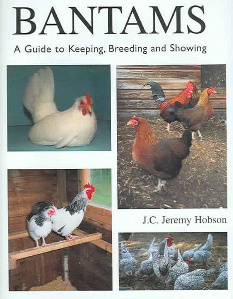 Produktbild: Hobson, J: Bantams, A Guide to Keeping, Breeding and Showing