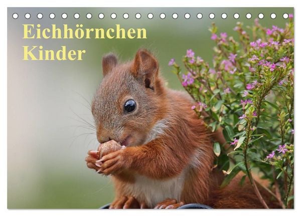 Produktbild: Eichh&ouml;rnchen Kinder (Tischkalender 2026 DIN A5 quer), CALVENDO Monatskalender