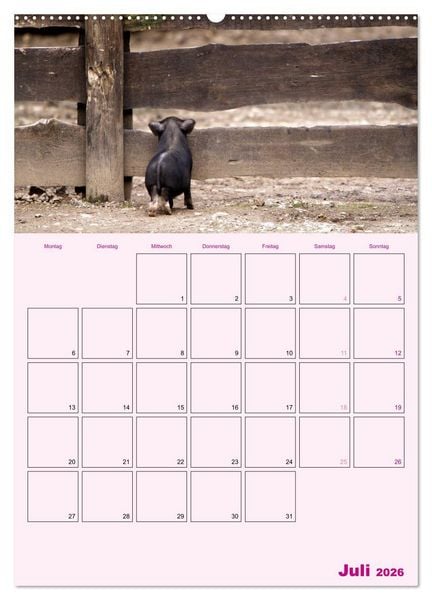 Produktbild: Schweinischer Terminplaner (Wandkalender 2026 DIN A2 hoch), CALVENDO Monatskalender