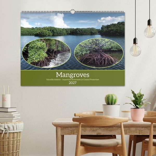 Produktbild: Mangroves - Valuable Habitat (Wall Calendar 2027 DIN A2 landscape), CALVENDO 12 Month Wall Calendar