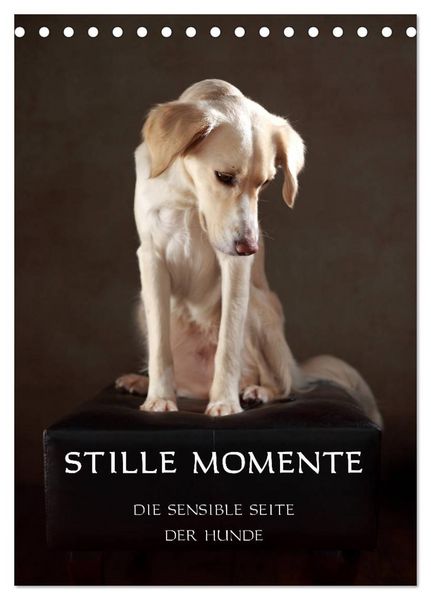 Produktbild: Stille Momente - Die sensible Seite der Hunde (Tischkalender 2026 DIN A5 hoch), CALVENDO Monatskalender