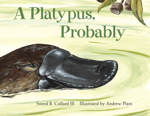 Produktbild: A Platypus, Probably