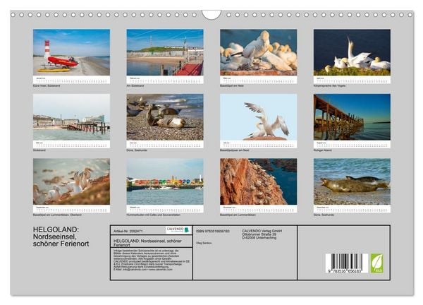 Produktbild: HELGOLAND: Nordseeinsel, sch&ouml;ner Ferienort (Wandkalender 2026 DIN A3 quer), CALVENDO Monatskalender