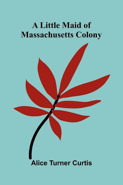 Produktbild: A Little Maid of Massachusetts Colony