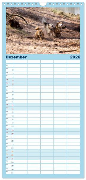 Produktbild: Familienplaner 2026 - Chihuahuas - kleine Herzensbrecher mit 5 Spalten (Wandkalender, 21 x 45 cm) CALVENDO
