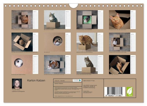 Produktbild: Karton Katzen (Wandkalender 2026 DIN A4 quer), CALVENDO Monatskalender