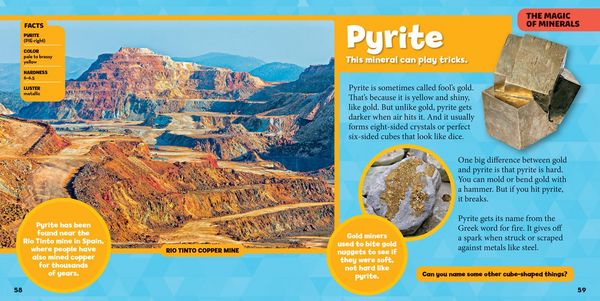 Produktbild: National Geographic Little Kids First Big Book of Rocks, Minerals & Shells