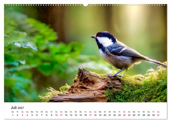 Produktbild: Federleicht - Das geheime Leben der Meisen (hochwertiger Premium Wandkalender 2027 DIN A2 quer), Kunstdruck in Hochglanz