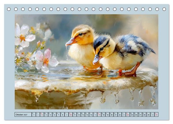 Produktbild: Zwergenten. Bezaubernde Schreih&auml;lse in der Natur (Tischkalender 2027 DIN A5 quer), CALVENDO Monatskalender