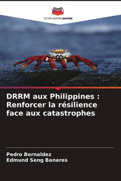 Produktbild: DRRM aux Philippines : Renforcer la r&eacute;silience face aux catastrophes