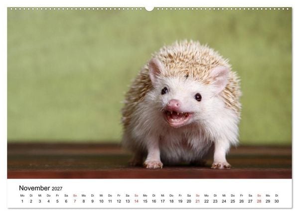 Produktbild: lach mit...just smile (hochwertiger Premium Wandkalender 2027 DIN A2 quer), Kunstdruck in Hochglanz