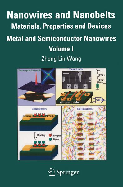 Produktbild: Nanowires and Nanobelts