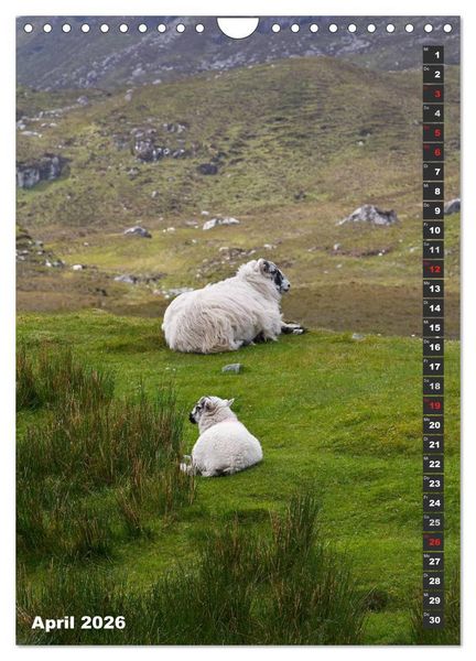 Produktbild: Schottlands vielf&auml;ltiger Westen (Wandkalender 2026 DIN A4 hoch), CALVENDO Monatskalender