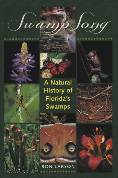 Produktbild: Swamp Song