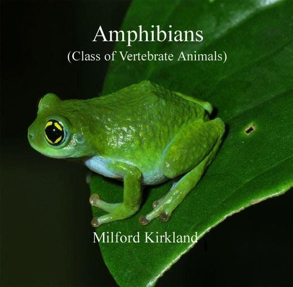 Produktbild: Amphibians (Class of Vertebrate Animals)