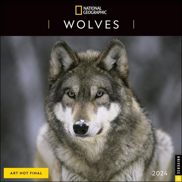 Produktbild: National Geographic: National Geographic: Wolves 2024 Wall C
