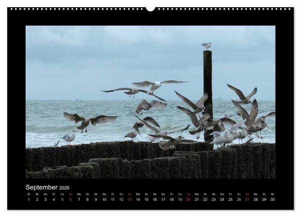 Produktbild: An der Nordsee (hochwertiger Premium Wandkalender 2026 DIN A2 quer), Kunstdruck in Hochglanz