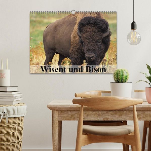 Produktbild: Wisent und Bison (Wandkalender 2026 DIN A3 quer), CALVENDO Monatskalender