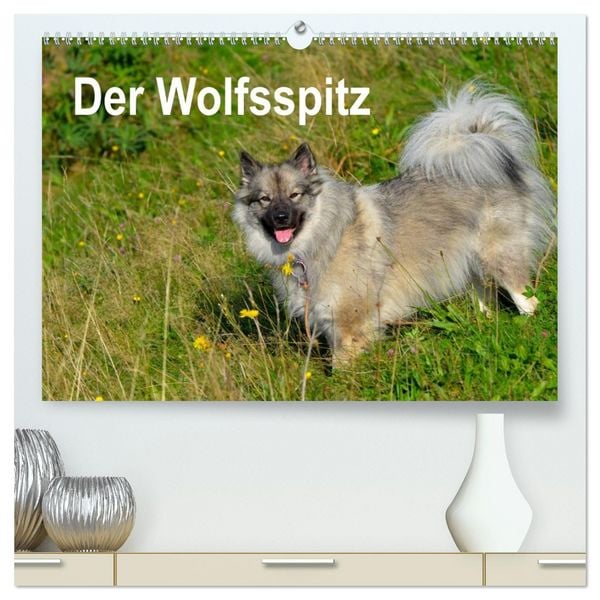 Produktbild: Der Wolfsspitz (hochwertiger Premium Wandkalender 2026 DIN A2 quer), Kunstdruck in Hochglanz