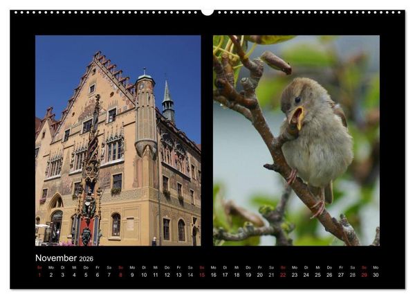 Produktbild: Ulmer Spatzen (Wandkalender 2026 DIN A2 quer), CALVENDO Monatskalender