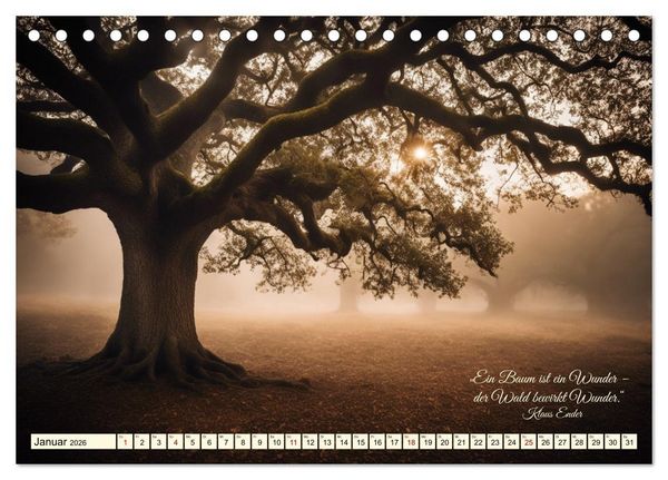 Produktbild: Waldbaden - Shinrin Yoku (Tischkalender 2026 DIN A5 quer), CALVENDO Monatskalender