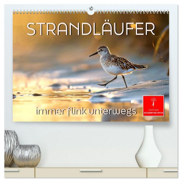 Strandläufer - immer flink unterwegs (hochwertiger Premium Wandkalender 2026 DIN A2 quer), Kunstdruck in Hochglanz
