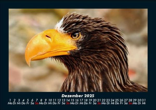 Produktbild: Adler 2025 Fotokalender DIN A5