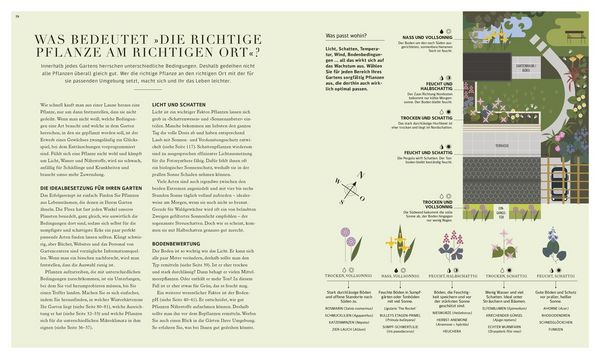 Produktbild: 100 Fragen und Antworten zum G&auml;rtnern