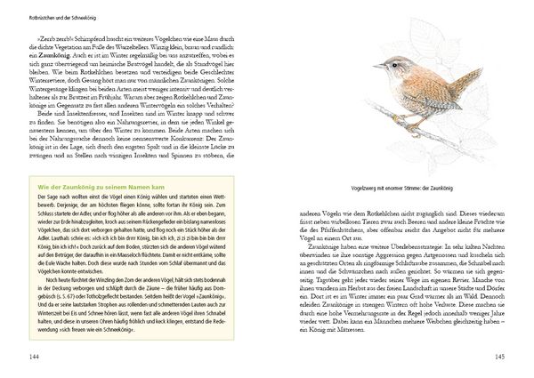Produktbild: Vogelstimmen in Wald und Hecke