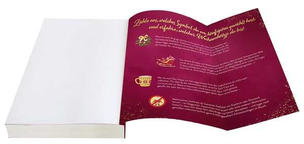Produktbild: Christmas Dreams and Winter Kisses
