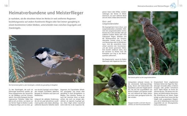 Produktbild: V&ouml;gel zu Gast im Garten - Heimische V&ouml;gel beobachten, bestimmen, sch&uuml;tzen.