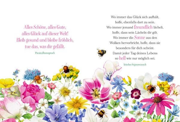 Produktbild: Ich w&uuml;nsch dir Gesundheit, Gl&uuml;ck und Frohsinn