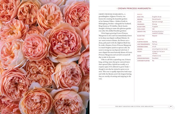 Produktbild: Grace Rose Farm: Garden Roses